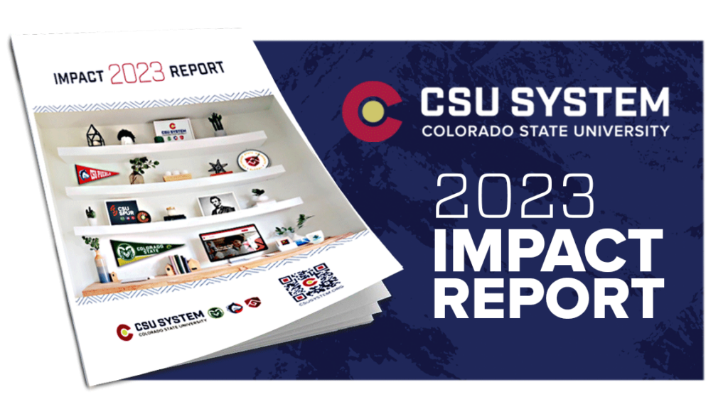 Graphic of the 2023 ϲʿֱֳ impact report.